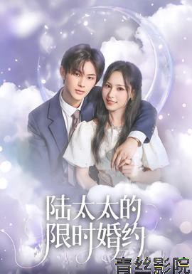 陆太太的限时婚约