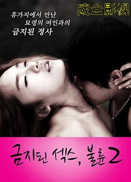 禁止性爱：通奸2