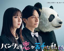 比熊猫更不擅长恋爱的我们